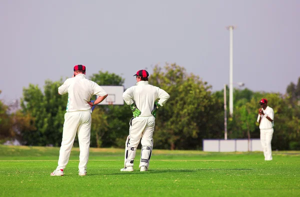 Cricket players standing — Stock Photo, Image
