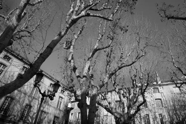 Buildings in Aix-en-provence — Stock Photo, Image