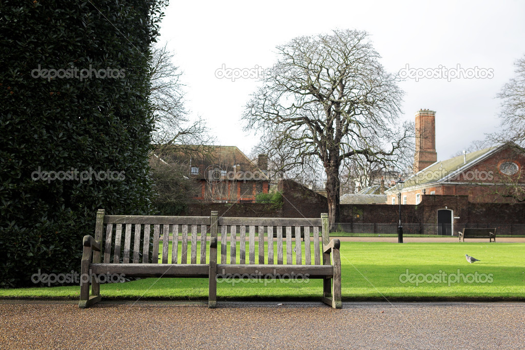 Bench in a park at wintertime