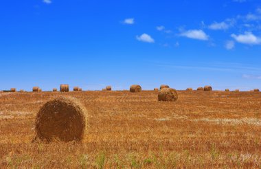 toprakları üzerinde toplanan saman ve rulo