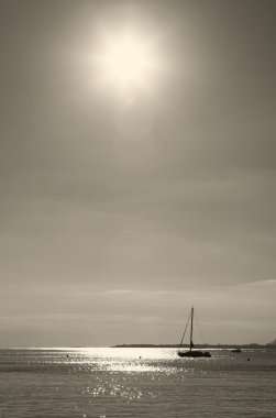 Sunset inantibes, Fransa yelken yelkenli