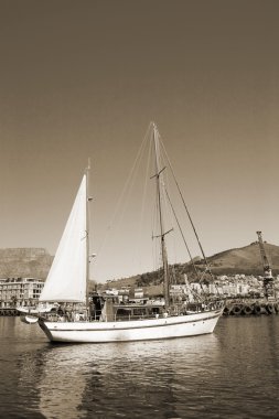 Güney Afrika Cape town Limanı yat