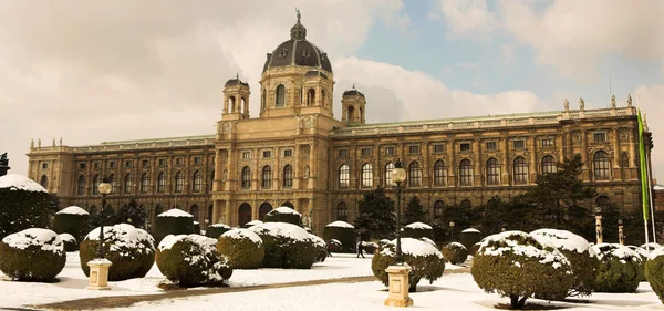 Музей образотворчих мистецтв у Відні, Австрія — стокове фото