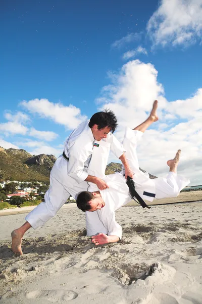 Young adult men with black belt practicing fighting — Stock Photo, Image