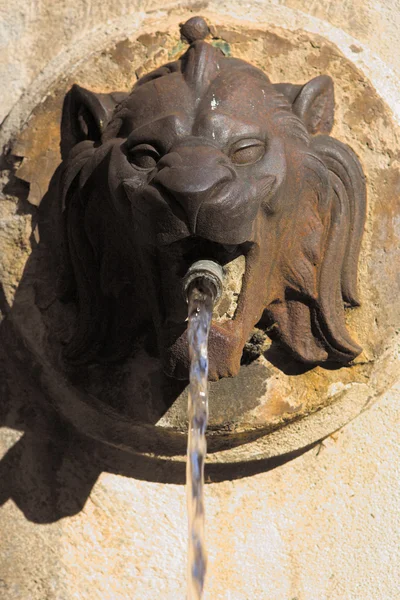 Fontana della testa di leone a Aix-en-Provence, Francia — Foto Stock