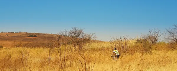 Coureur solitaire sur son vélo de montagne - Espace de copie — Photo