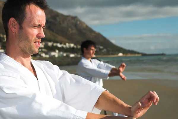 Young adult men with black belt practicing a Kata — Stock Photo, Image