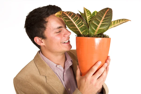 Businessman holding a pot plant — Stock Photo, Image