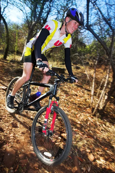 Panorámica de un ciclista de montaña, corriendo en un bosque . — Foto de Stock