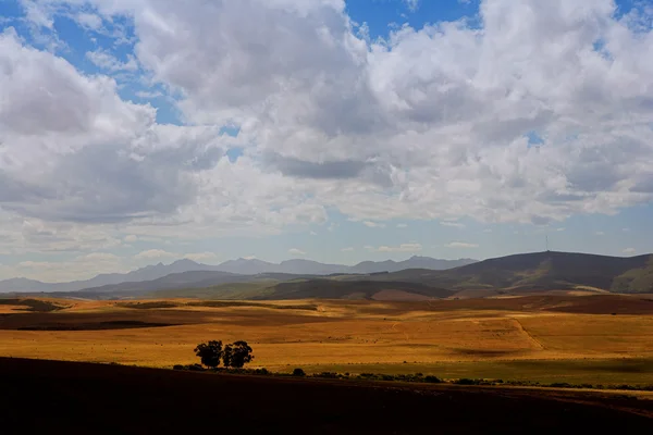背景の山を持つフィールドを農業 — ストック写真