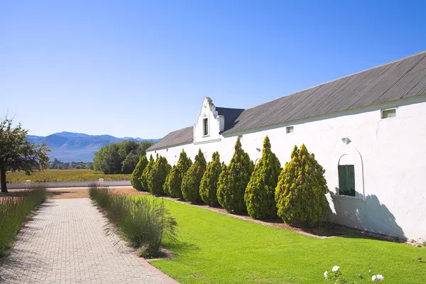 Ursprungliga vingård på vingård på plaisir de merle, Sydafrika — Stockfoto