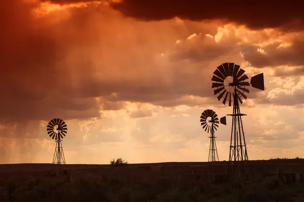 ちょうど日没前に南アフリカのカルーのデザートの領域で雷雨を醸造. — ストック写真