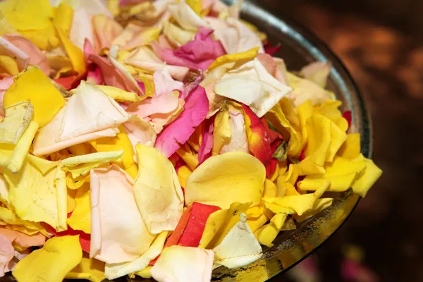 Close-up of confetti in a bowl. Shallow D.O.F — Stock Photo, Image