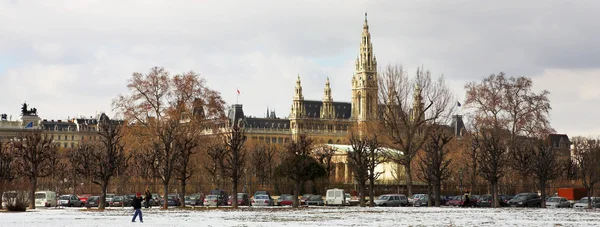 雪に覆われた公園の向かい側のオーストリア、ウィーン市庁舎 (ウィーン市庁舎 rathaus） 建物 — ストック写真