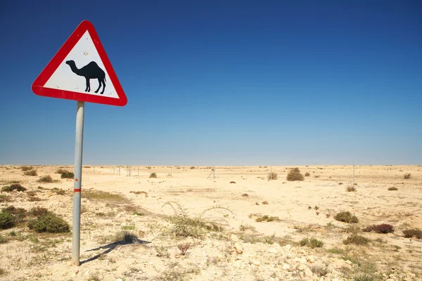 Waarschuwing teken voor kamelen op de weg naast de rijbaan in qatar, Midden-Oosten — Stockfoto