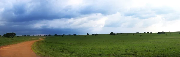 Καφέ χωματόδρομο που οδηγεί μέσα από ένα καταπράσινο χώρο με μια μεγάλη καταιγίδα ζυθοποιίας στην του Νοτίου Αφρικής βιότοπου rietvlei φράγματος — Φωτογραφία Αρχείου