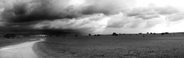 Hnědá polní cesta, běh přes zelené pole s velké bouře v Jihoafrické přírodní rezervaci rietvlei dam — Stock fotografie