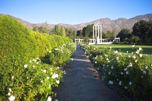 Traject met witte bloemen leidt tot het Hugenotenmonument in de zomer met groene gras en bloeiende tuinen in franschhoek, West-Kaap, Zuid-Afrika — Stockfoto