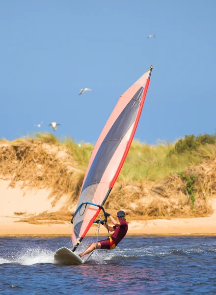 Windsurfista en movimiento rápido en el agua en Keurbooms Lagoon, Sudáfrica . — Foto de Stock