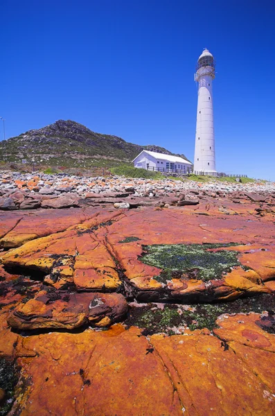 Slangkop deniz feneri — Stok fotoğraf