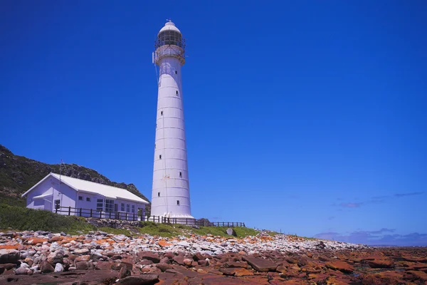 Slangkop vuurtoren — Stockfoto