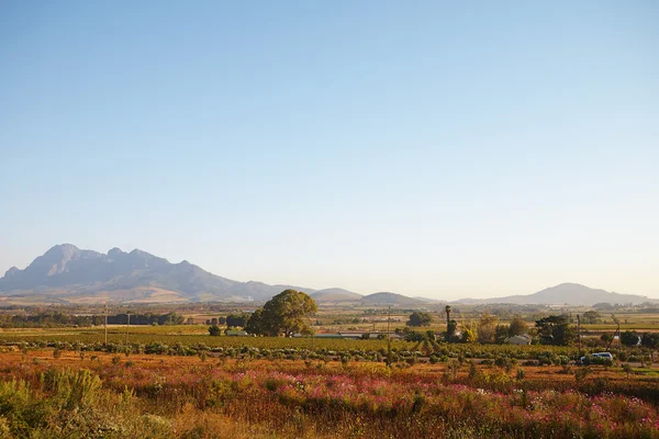 West-Kaap landschap — Stockfoto