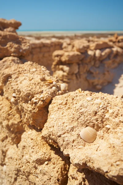 Ruinas en el desierto —  Fotos de Stock