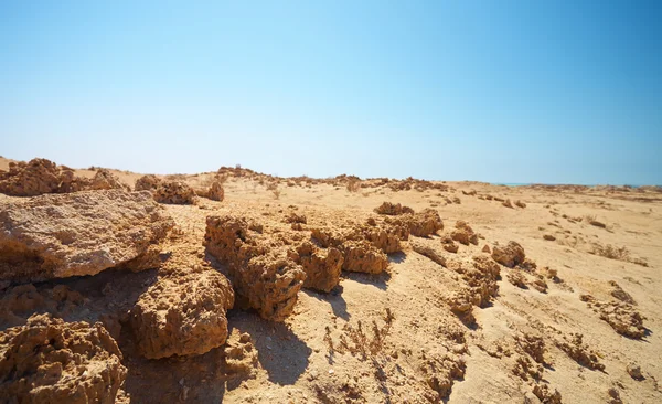 Ruínas no deserto — Fotografia de Stock