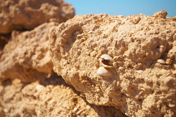 Rovine nel deserto — Foto Stock