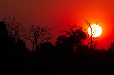 African Sunset clipart