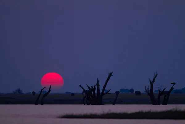 Tramonto africano — Foto Stock