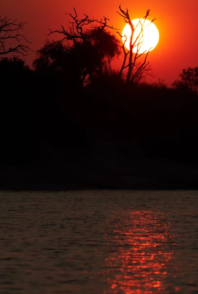 Afrikanischer Sonnenuntergang — Stockfoto