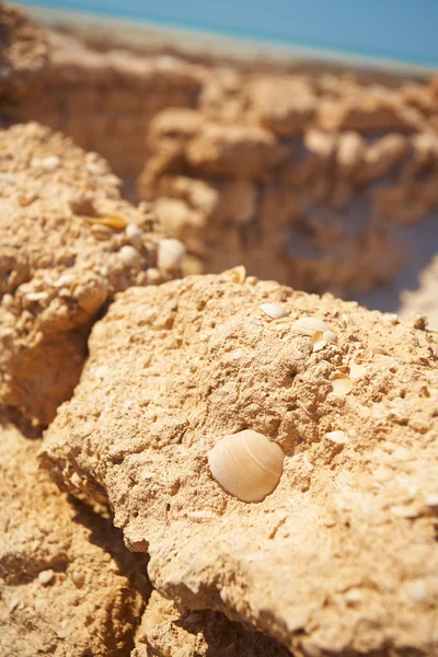 Kalıntıları çölde — Stok fotoğraf