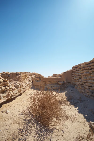 Rovine nel deserto — Foto Stock