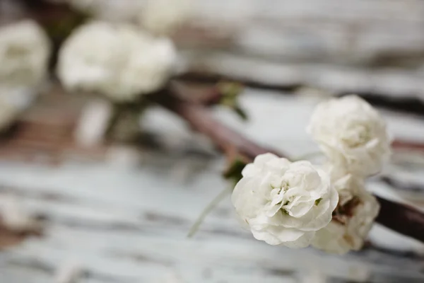 Small White Flower — Stock Photo, Image