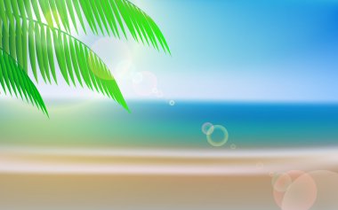 palmiye ağacı ile plaj manzara