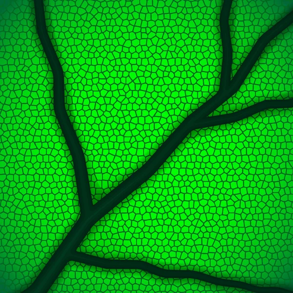 ツリーの葉をマクロと有機の背景 — ストックベクタ