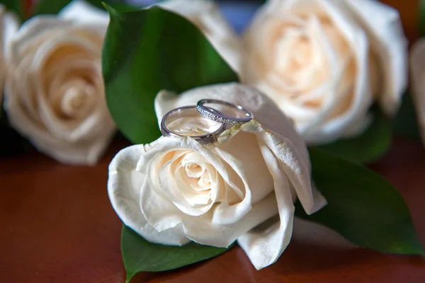 장미를 통해 결혼 반지 — 스톡 사진
