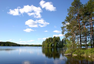 çam ağaçları ile çevrili forest lake