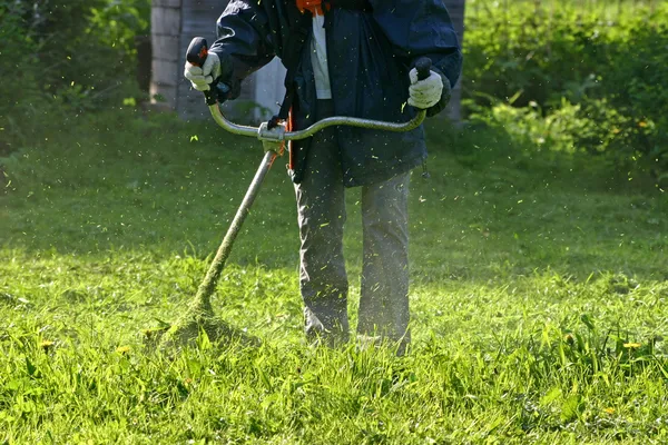 Gras rietenknipper werken — Stockfoto