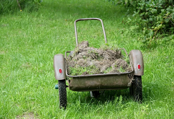 Bahçede el arabası