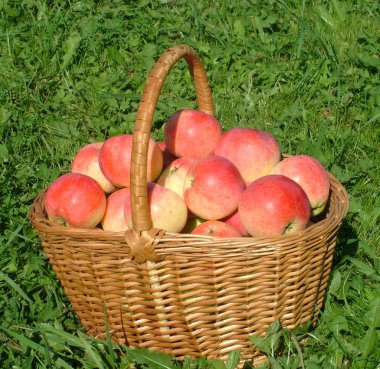 Sepette kırmızı elmalar