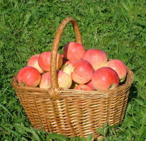 Sepette kırmızı elmalar