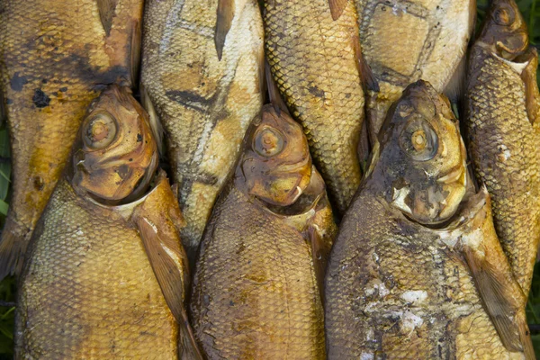 füme balık arka plan