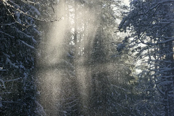 Die Fee Schneestaub Stockfoto