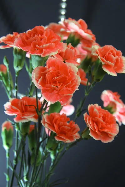 gelin buketi karanfil