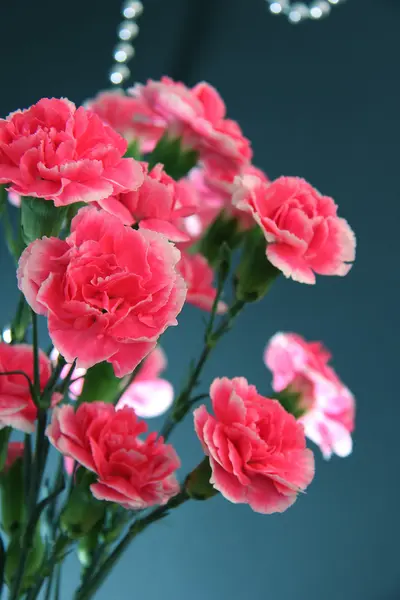 gelin buketi karanfil