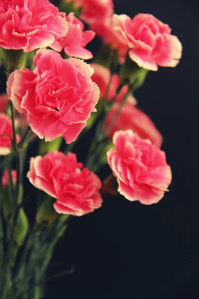 gelin buketi karanfil