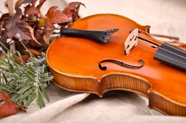 Violino e folhas de outono em fundo marrom . — Fotografia de Stock