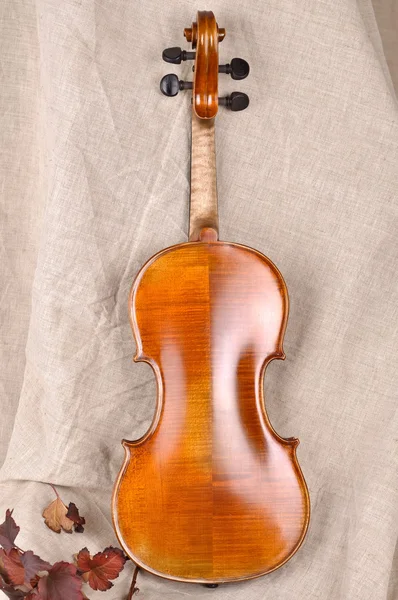 Violin tillbaka Visa isolerade på beige bakgrund — Stockfoto